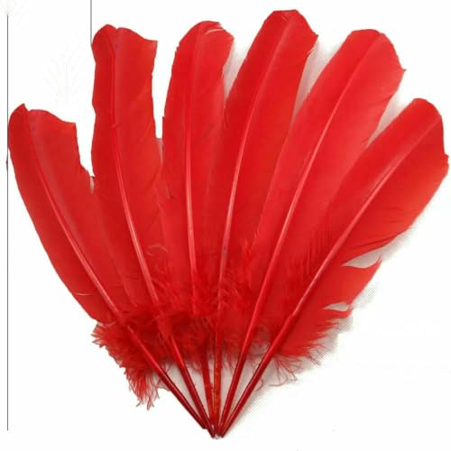 Faschingsfasanenfedern für Karneval, Truthahnfedern, Fasching, Kopfschmuck, Karneval, Flügel, 28-33 cm, 11-13 Zoll, 10-100 Stück-Rot-10 Stück Faschingsfasanenfedern für Karneval, Truthahnfedern, Fasching, Kopfschmuck, Karneval, Flügel, 28-33 cm, 11-13 Zoll, 10-100 Stück-Rot-10 Stück von HFNCE