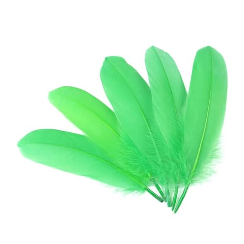 Gänsefedern zum Basteln, Schmuckherstellung, Basteln, Karnevalszubehör, natürliche Federn, 15,2–20,3 cm, DIY-Kleidung, Hochzeitsdekoration, Grün, 200 Stück Gänsefedern zum Basteln, Schmuckherstellung, Basteln, Karnevalszubehör, natürliche Federn, 15,2–20,3 cm, DIY-Kleidung, Hochzeitsdekoration, Grün, 200 Stück von HFNCE