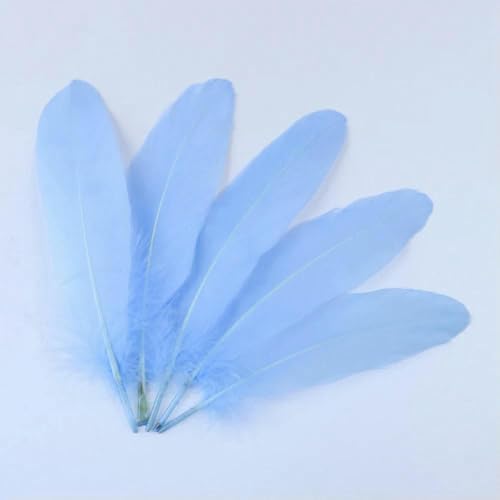 Gänsefedern zum Basteln, Schmuckherstellung, Basteln, Karnevalszubehör, natürliche Federn, 15,2–20,3 cm, DIY-Kleidung, Hochzeitsdekoration, Hellblau, 20 Stück Gänsefedern zum Basteln, Schmuckherstellung, Basteln, Karnevalszubehör, natürliche Federn, 15,2–20,3 cm, DIY-Kleidung, Hochzeitsdekoration, Hellblau, 20 Stück von HFNCE