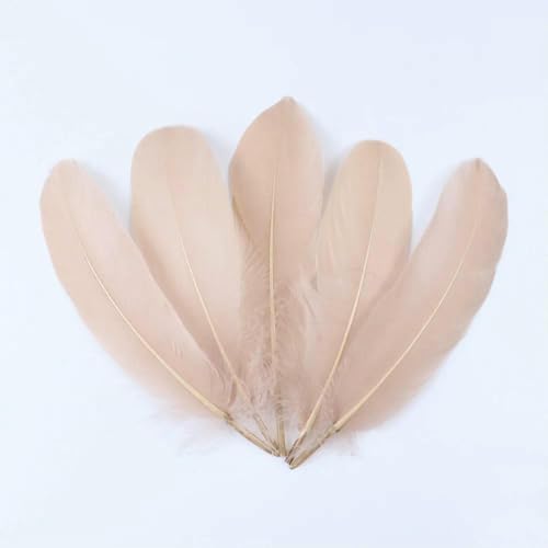 Gänsefedern zum Basteln, Schmuckherstellung, Basteln, Karnevalszubehör, natürliche Federn, 15,2–20,3 cm, DIY-Kleidung, Hochzeitsdekoration, Hellkaffee, 100 Stück Gänsefedern zum Basteln, Schmuckherstellung, Basteln, Karnevalszubehör, natürliche Federn, 15,2–20,3 cm, DIY-Kleidung, Hochzeitsdekoration, Hellkaffee, 100 Stück von HFNCE