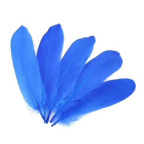 Gänsefedern zum Basteln, Schmuckherstellung, Basteln, Karnevalszubehör, natürliche Federn, 15,2–20,3 cm, DIY-Kleidung, Hochzeitsdekoration, Königsblau, 100 Stück Gänsefedern zum Basteln, Schmuckherstellung, Basteln, Karnevalszubehör, natürliche Federn, 15,2–20,3 cm, DIY-Kleidung, Hochzeitsdekoration, Königsblau, 100 Stück von HFNCE