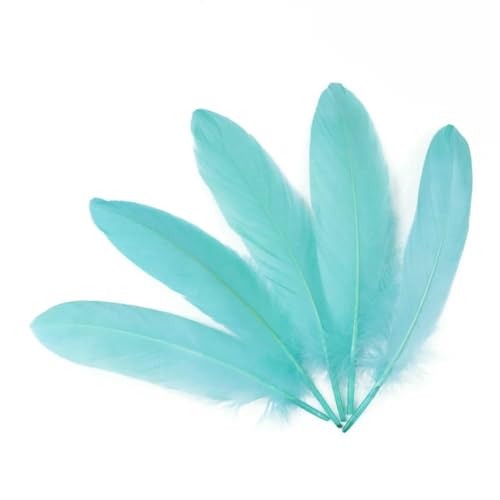 Gänsefedern zum Basteln, Schmuckherstellung, Basteln, Karnevalszubehör, natürliche Federn, 15,2–20,3 cm, DIY-Kleidung, Hochzeitsdekoration, Mintgrün, 200 Stück Gänsefedern zum Basteln, Schmuckherstellung, Basteln, Karnevalszubehör, natürliche Federn, 15,2–20,3 cm, DIY-Kleidung, Hochzeitsdekoration, Mintgrün, 200 Stück von HFNCE