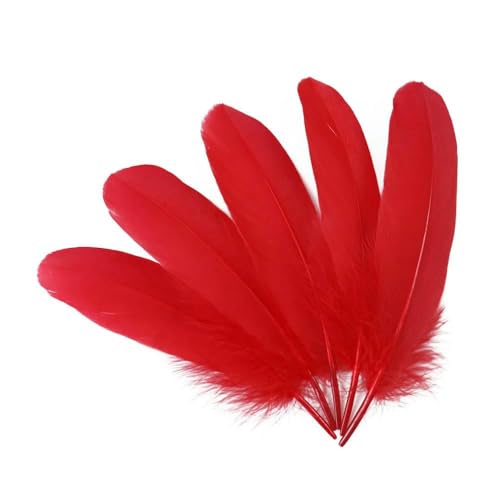 Gänsefedern zum Basteln, Schmuckherstellung, Basteln, Karnevalszubehör, natürliche Federn, 15,2–20,3 cm, DIY-Kleidung, Hochzeitsdekoration, Rot, 200 Stück Gänsefedern zum Basteln, Schmuckherstellung, Basteln, Karnevalszubehör, natürliche Federn, 15,2–20,3 cm, DIY-Kleidung, Hochzeitsdekoration, Rot, 200 Stück von HFNCE