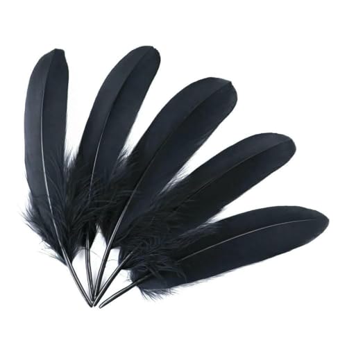 Gänsefedern zum Basteln, Schmuckherstellung, Basteln, Karnevalszubehör, natürliche Federn, 15,2–20,3 cm, DIY-Kleidung, Hochzeitsdekoration, Schwarz, 500 Stück von HFNCE