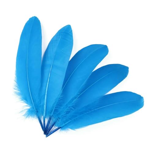 Gänsefedern zum Basteln, Schmuckherstellung, Basteln, Karnevalszubehör, natürliche Federn, 15,2–20,3 cm, DIY-Kleidung, Hochzeitsdekoration, Seeblau, 200 Stück Gänsefedern zum Basteln, Schmuckherstellung, Basteln, Karnevalszubehör, natürliche Federn, 15,2–20,3 cm, DIY-Kleidung, Hochzeitsdekoration, Seeblau, 200 Stück von HFNCE