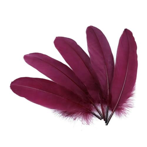 Gänsefedern zum Basteln, Schmuckherstellung, Basteln, Karnevalszubehör, natürliche Federn, 15,2–20,3 cm, DIY-Kleidung, Hochzeitsdekoration, Weinrot, 100 Stück Gänsefedern zum Basteln, Schmuckherstellung, Basteln, Karnevalszubehör, natürliche Federn, 15,2–20,3 cm, DIY-Kleidung, Hochzeitsdekoration, Weinrot, 100 Stück von HFNCE