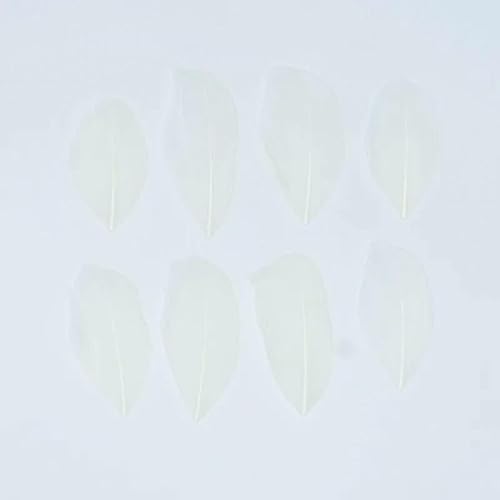 Gänsefedern zur Schmuckherstellung, 5–8 cm, Dekoration, Gänse, weißer Schwan, Handarbeit, Hochzeit, Bastelzubehör, DIY-Bastelbedarf, Beige, 50 Stück von HFNCE