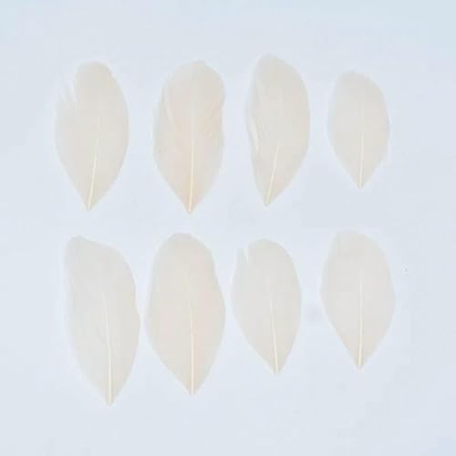 Gänsefedern zur Schmuckherstellung, 5–8 cm, Dekoration, Gänse, weißer Schwan, Handarbeit, Hochzeit, Bastelzubehör, DIY-Bastelbedarf, Champagner, 50 Stück von HFNCE