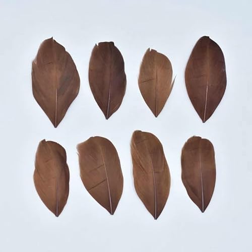 Gänsefedern zur Schmuckherstellung, 5–8 cm, Dekoration, Gänse, weißer Schwan, Handarbeit, Hochzeit, Bastelzubehör, DIY-Bastelbedarf, Dunkelbraun, 20 Stück von HFNCE