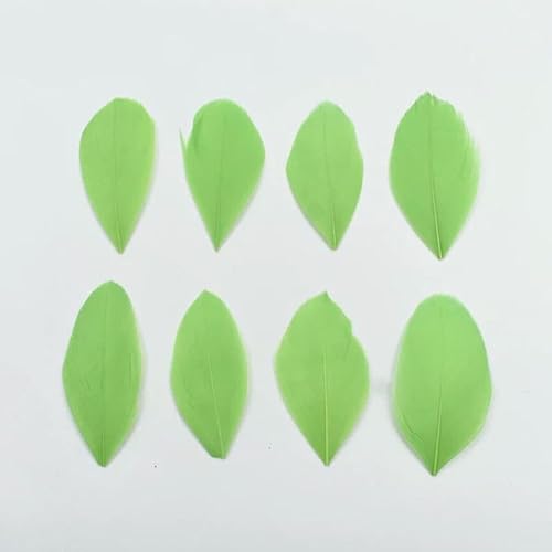 Gänsefedern zur Schmuckherstellung, 5–8 cm, Dekoration, Gänse, weißer Schwan, Handarbeit, Hochzeit, Handarbeitszubehör, Bastelbedarf, grün, 50 Stück von HFNCE