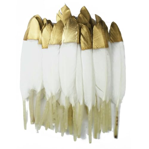 Gefärbte Entenfedern in 30 Farben, getaucht in Gold, 10–15 cm, für Partys, alles, handgefertigte Accessoires, DIY, Mintgrün, 100 Stück Gefärbte Entenfedern in 30 Farben, getaucht in Gold, 10–15 cm, für Partys, alles, handgefertigte Accessoires, DIY, Mintgrün, 100 Stück von HFNCE