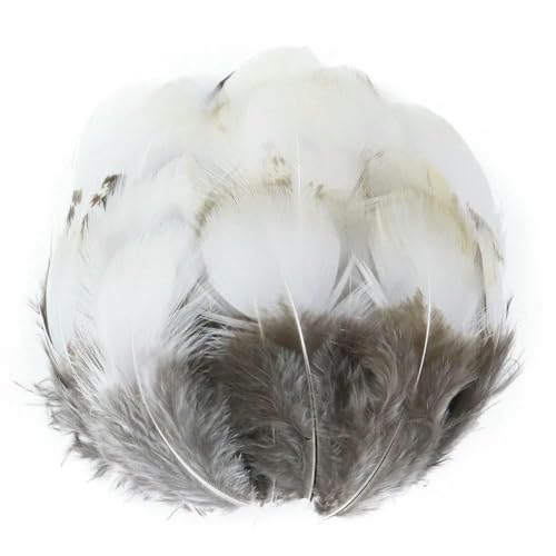 Großhandel Natürliche Fasanenfedern 3-10 cm Kleine Hühnerfedern Basteln Schmuck Kreation Karneval Halloween Weihnachtsdekoration-5-10 cm-50 Stück von HFNCE