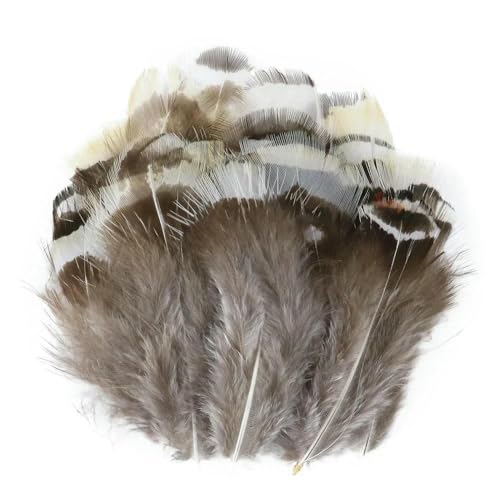 Großhandel Natürliche Fasanenfedern 3-10CM Kleine Hühnerfedern Basteln Schmuck Kreation Karneval Halloween Weihnachtsdekoration-3-10cm_c-20 PCS von HFNCE
