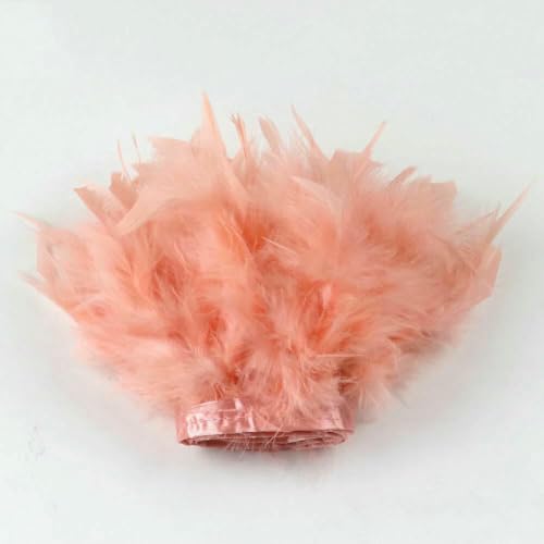 Meter mehrfarbige Truthahnfeder-Besatzfransen, flauschiges, gestreiftes Federband, 10–15 cm, für Hochzeitskleider, Kleidung, Basteln, Dekoration, Champagner, 1 Meter Meter mehrfarbige Truthahnfeder-Besatzfransen, flauschiges, gestreiftes Federband, 10–15 cm, für Hochzeitskleider, Kleidung, Basteln, Dekoration, Champagner, 1 Meter von HFNCE