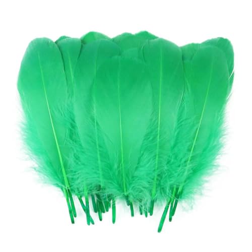 Natürliche Gänsefedern, 10–15 cm, Schwanenfedern für Heimdekoration, Basteln, DIY, Hochzeit, Schmuckzubehör, 50 Stück, 100 Stück, Grasgrün, 50 Stück Natürliche Gänsefedern, 10–15 cm, Schwanenfedern für Heimdekoration, Basteln, DIY, Hochzeit, Schmuckzubehör, 50 Stück, 100 Stück, Grasgrün, 50 Stück von HFNCE