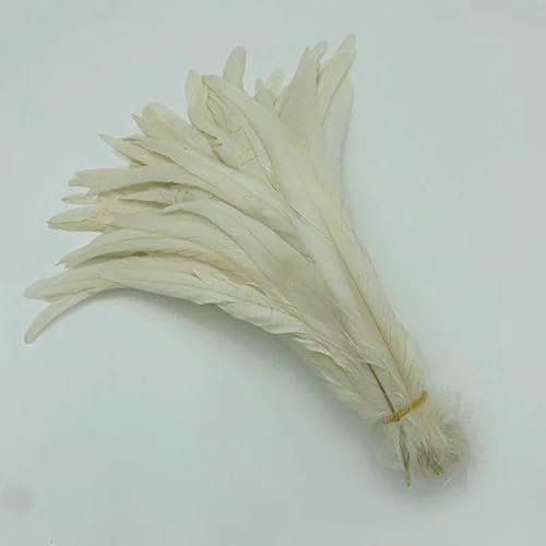 Natürliche Hahnenschwanzfedern, Mintgrüne Federn, DIY Hahnenkleidung, Schmuckzubehör, Party, Großhandel, 25-45cm,10-18in- -10-12inch 25-30CM von HFNCE