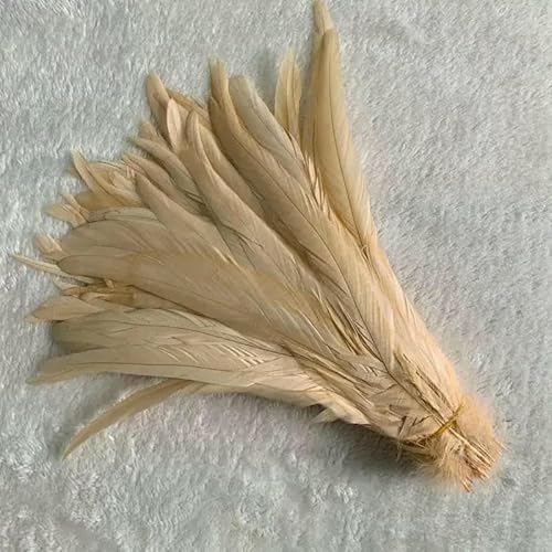 Natürliche Hahnenschwanzfedern, mintgrüne Federn, DIY-Hahnkleidung, Schmuckzubehör, Party, Großhandel, 25–45 cm, 10–18 Zoll, Champagner, 12–14 Zoll, 30–35 cm Natürliche Hahnenschwanzfedern, mintgrüne Federn, DIY-Hahnkleidung, Schmuckzubehör, Party, Großhandel, 25–45 cm, 10–18 Zoll, Champagner, 12–14 Zoll, 30–35 cm von HFNCE