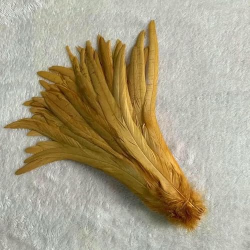 Natürliche Hahnenschwanzfedern, mintgrüne Federn, DIY-Hahnkleidung, Schmuckzubehör, Party, Großhandel, 25–45 cm, 10–18 Zoll, Dunkelgold, 10–12 Zoll, 25–30 cm Natürliche Hahnenschwanzfedern, mintgrüne Federn, DIY-Hahnkleidung, Schmuckzubehör, Party, Großhandel, 25–45 cm, 10–18 Zoll, Dunkelgold, 10–12 Zoll, 25–30 cm von HFNCE