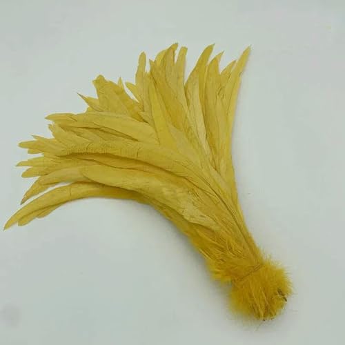 Natürliche Hahnenschwanzfedern, mintgrüne Federn, DIY-Hahnkleidung, Schmuckzubehör, Party, Großhandel, 25–45 cm, 10–18 Zoll, Goldgelb, 14–16 Zoll, 35–40 cm Natürliche Hahnenschwanzfedern, mintgrüne Federn, DIY-Hahnkleidung, Schmuckzubehör, Party, Großhandel, 25–45 cm, 10–18 Zoll, Goldgelb, 14–16 Zoll, 35–40 cm von HFNCE