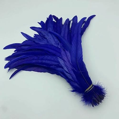 Natürliche Hahnenschwanzfedern, mintgrüne Federn, DIY-Hahnkleidung, Schmuckzubehör, Party, Großhandel, 25–45 cm, 10–18 Zoll, Königsblau, 10–12 Zoll, 25–30 cm Natürliche Hahnenschwanzfedern, mintgrüne Federn, DIY-Hahnkleidung, Schmuckzubehör, Party, Großhandel, 25–45 cm, 10–18 Zoll, Königsblau, 10–12 Zoll, 25–30 cm von HFNCE