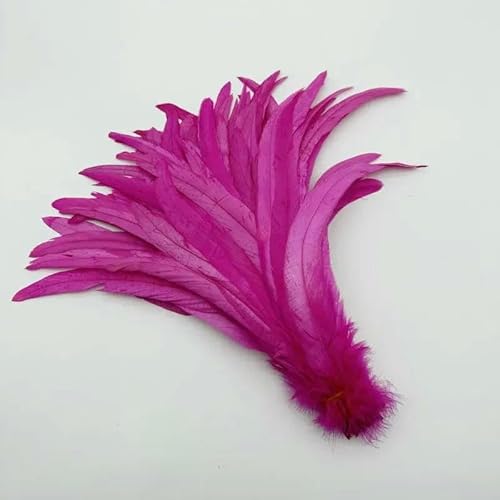 Natürliche Hahnenschwanzfedern, mintgrüne Federn, DIY-Hahnkleidung, Schmuckzubehör, Party, Großhandel, 25–45 cm, 10–18 Zoll, Pfirsichrot, 12–14 Zoll, 30–35 cm Natürliche Hahnenschwanzfedern, mintgrüne Federn, DIY-Hahnkleidung, Schmuckzubehör, Party, Großhandel, 25–45 cm, 10–18 Zoll, Pfirsichrot, 12–14 Zoll, 30–35 cm von HFNCE