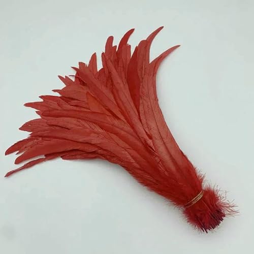 Natürliche Hahnenschwanzfedern, mintgrüne Federn, DIY-Hahnkleidung, Schmuckzubehör, Party, Großhandel, 25–45 cm, 10–18 Zoll, Rot, 14–16 Zoll, 35–40 cm Natürliche Hahnenschwanzfedern, mintgrüne Federn, DIY-Hahnkleidung, Schmuckzubehör, Party, Großhandel, 25–45 cm, 10–18 Zoll, Rot, 14–16 Zoll, 35–40 cm von HFNCE