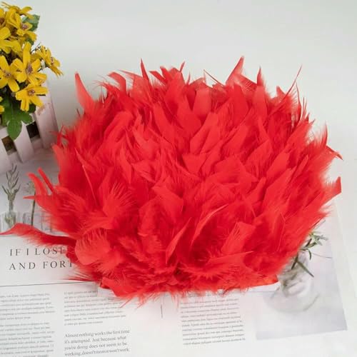 Natürliche Truthahnfedern, 10–15 cm, weißes und schwarzes Federband für Hochzeitsfeiern, Kleider, Kleidung, Nähzubehör, Rot, 1 Meter von HFNCE