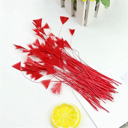 Natürliche Truthahnfedern, Großpackung, 100 Stück, 5–10 cm, flauschige Federn für Ohrringherstellung, Schmuckherstellung, Partydekoration, DIY-Zubehör, 03 rot, 100 Natürliche Truthahnfedern, Großpackung, 100 Stück, 5–10 cm, flauschige Federn für Ohrringherstellung, Schmuckherstellung, Partydekoration, DIY-Zubehör, 03 rot, 100 von HFNCE