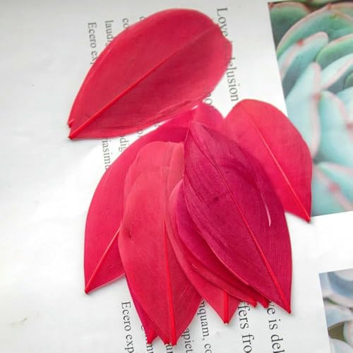 Natürliche rote Gänsefedern, 5–8 cm, 50 Stück/Los, für DIY-Bastelschmuck, Traumfänger, Hochzeitsfeier, Dekoration, kleine Federn, Großhandel, weinrot, 50 Stück Natürliche rote Gänsefedern, 5–8 cm, 50 Stück/Los, für DIY-Bastelschmuck, Traumfänger, Hochzeitsfeier, Dekoration, kleine Federn, Großhandel, weinrot, 50 Stück von HFNCE