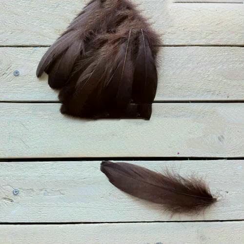 Neu! Blutfang-Farbe, 20 Stück hochwertige natürliche Gänsefedern, 13–18 cm, DIY-Schmuckdekoration – Dunkelkaffee – 100 Stück Neu! Blutfang-Farbe, 20 Stück hochwertige natürliche Gänsefedern, 13–18 cm, DIY-Schmuckdekoration – Dunkelkaffee – 100 Stück von HFNCE