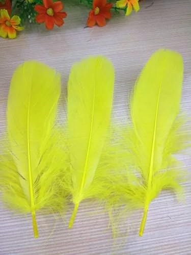 Neu! Blutfang-Farbe, 20 Stück hochwertige natürliche Gänsefedern, 13–18 cm, DIY-Schmuckdekoration – Gelb – 100 Stück von HFNCE