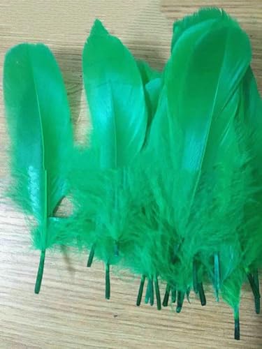 Neu! Blutfang-Farbe, 20 Stück hochwertige natürliche Gänsefedern, 13–18 cm, DIY-Schmuckdekoration – Grün – 20 Stück Neu! Blutfang-Farbe, 20 Stück hochwertige natürliche Gänsefedern, 13–18 cm, DIY-Schmuckdekoration – Grün – 20 Stück von HFNCE