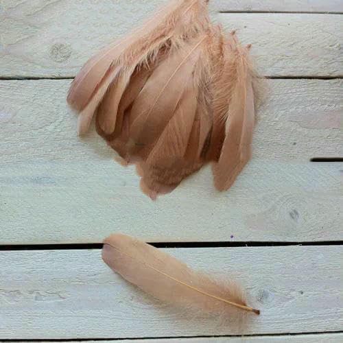 Neu! Blutfang-Farbe, 20 Stück hochwertige natürliche Gänsefedern, 13–18 cm, DIY-Schmuckdekoration – Kaffeebraun – 20 Stück Neu! Blutfang-Farbe, 20 Stück hochwertige natürliche Gänsefedern, 13–18 cm, DIY-Schmuckdekoration – Kaffeebraun – 20 Stück von HFNCE