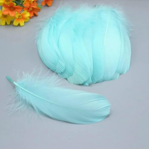 Neu! Blutfang-Farbe, 20 Stück hochwertige natürliche Gänsefedern, 13–18 cm, DIY-Schmuckdekoration – Mintgrün – 100 Stück Neu! Blutfang-Farbe, 20 Stück hochwertige natürliche Gänsefedern, 13–18 cm, DIY-Schmuckdekoration – Mintgrün – 100 Stück von HFNCE