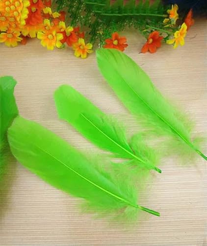Neu! Blutfang-Farbe, 20 Stück hochwertige natürliche Gänsefedern, 13–18 cm, DIY-Schmuckdekoration – grün – 100 Stück Neu! Blutfang-Farbe, 20 Stück hochwertige natürliche Gänsefedern, 13–18 cm, DIY-Schmuckdekoration – grün – 100 Stück von HFNCE