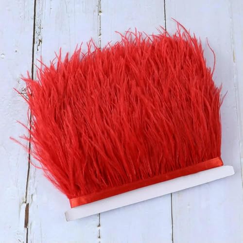 Yard Straußenfederbesatzband, gefärbt, verschiedene Straußenfransen, 8–10 cm, Federn zum Basteln, Kleider/Röcke, Nähzubehör, rot, 8–10 cm Yard Straußenfederbesatzband, gefärbt, verschiedene Straußenfransen, 8–10 cm, Federn zum Basteln, Kleider/Röcke, Nähzubehör, rot, 8–10 cm von HFNCE