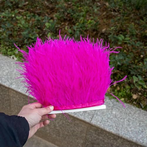 m, 5 m, 10 m, schwarz-weiße Straußenfederbesätze, 8–10 cm, natürliche Straußenfedern für Bastelbänder, Fransen, Kleider, Partykleidung, 4–1 m m, 5 m, 10 m, schwarz-weiße Straußenfederbesätze, 8–10 cm, natürliche Straußenfedern für Bastelbänder, Fransen, Kleider, Partykleidung, 4–1 m von HFNCE