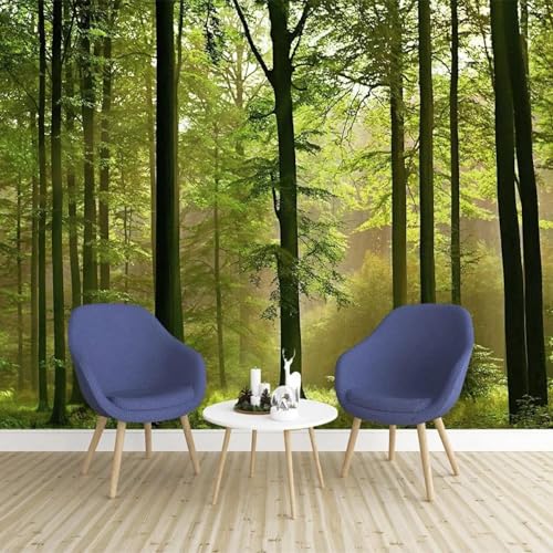HGFHGD Wandbild 3D Wohnzimmer Dekoration Tapete Wald Sonnenschein Landschaft Innenwandkunst PVC selbstklebende Aufkleber Malerei HGFHGD Wandbild 3D Wohnzimmer Dekoration Tapete Wald Sonnenschein Landschaft Innenwandkunst PVC selbstklebende Aufkleber Malerei von HGFHGD