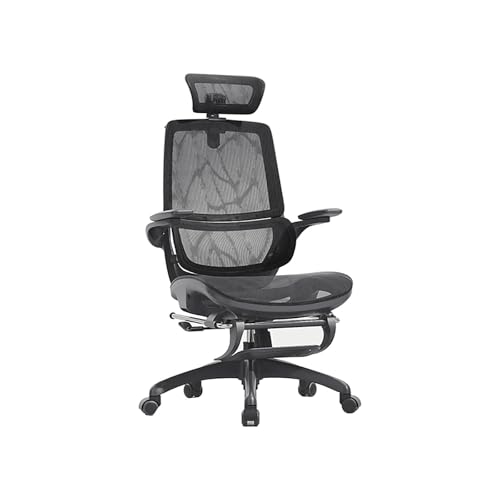 HGFVNFVKHA Ergonomic Chair mit Verstellbaren Armlehnen, Schreibtischstuhl mit Doppel-Feder-Lendenkissen, Doppelgelenk-Kopfstütze, Geeignet für Büro und Studium(Black) von HGFVNFVKHA