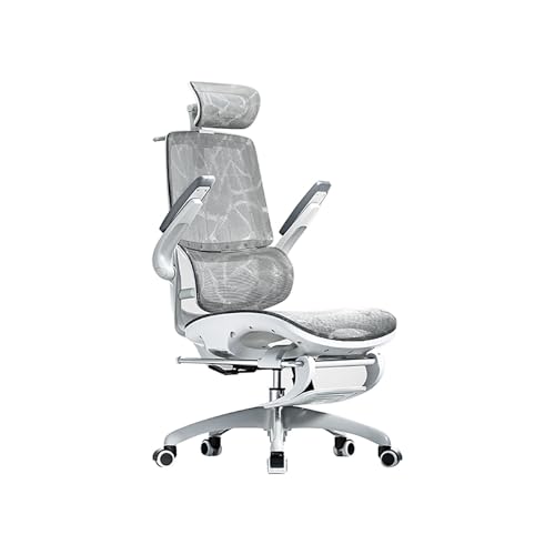 HGFVNFVKHA Ergonomic Chair mit Verstellbaren Armlehnen, Schreibtischstuhl mit Doppel-Feder-Lendenkissen, Doppelgelenk-Kopfstütze, Geeignet für Büro und Studium(Gray) von HGFVNFVKHA