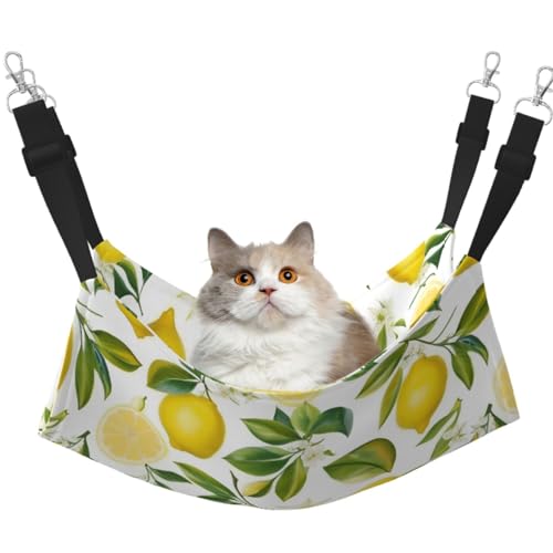 Fresh Tropical Lemons Hängematte, mit verstellbaren Gurten und Metallhaken, doppelseitiges Bett von HGFVY