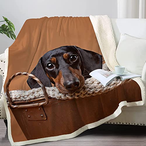 HGGES Dachshund Decke Warme Und Bequeme Flanell Dachshund Decke Kinder Und Erwachsene Plüsch Wiener Hund Decke Dachshund Dame Geschenk von HGGES