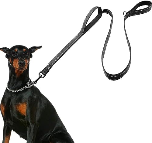 hundeleine für Grosse Hunde, reflektierend-e Nylon Führleine, Leine Hund gepolstert Neopren Handschlaufen, Doppelgriff, Geeignet für mittlere bis große Hunde 150 * 2.5CM. von HRYSPN