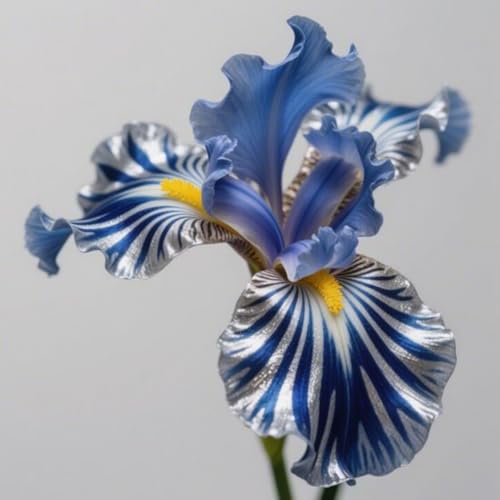 HGJKYTFCDG Iris winterhart mehrjährig - Iris blumenzwiebeln (Schwertlilien) - Ideal zum Kaufen für Ihren Garten-6 schwertlilie knolle-Z von HGJKYTFCDG