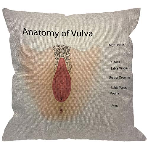 HGOD DESIGNS Anatomy of Vulva Dekokissenbezug, weibliche Vagina Harnröhren Klitoris Labia Minora Anus Reproduktivsystem Dekorative Kissenbezüge Leinen Quadratische für Zuhause Sofa Couch 45,7 x cm von HGOD DESIGNS