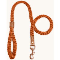 Cinnamon Plaited Hundeleine - Monogrammiertes Edles Und Vielseitiges Handgefertigtes Halsband von HGPLUXACCESSORIES