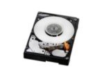 HGST 600GB 10000RPM SAS TCG Ultrastar C10K900, 0B27256 (Ultrastar C10K900) von HGST