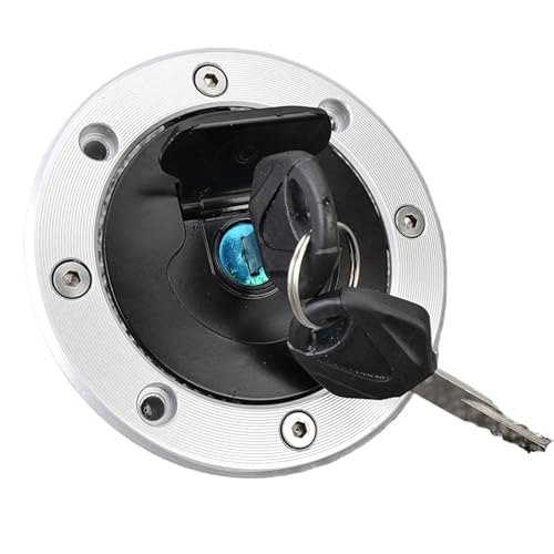 Kompatibel mit Suzuki GS500 Zündschalter Tankdeckel GS 500 2001-2012 2002 2003 2004 2005 2006 2007 2008 2009 2010 2011 von HGXRNAK