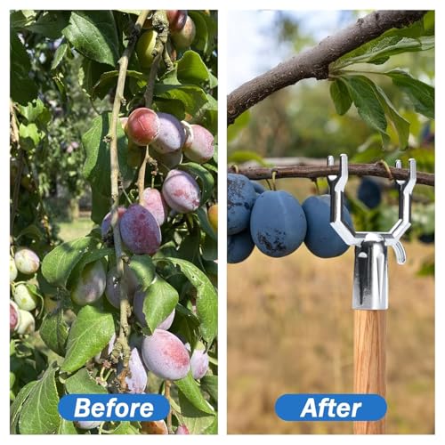 20pcs Y Förmige Metallpflanzen Rostbezogene Gartenpfahlklassen Für Obstbäume Und Zarte Stängelbäume Stütze Stütze Metallbaumkrücke Stützgerät 20pcs Y Förmige Metallpflanzen Rostbezogene Gartenpfahlklassen Für Obstbäume Und Zarte Stängelbäume Stütze Stütze Metallbaumkrücke Stützgerät von HGZHNAT