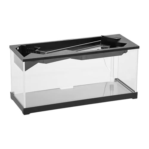 HGZHNAT Desktop Fischtanks, Kleines Aquariummit Heizkissen Led, Led Filtrationssysteme Acryltanks FüR Bettas FüR Fisch ÖKosystem, Acryl Desktop Fischtanks Mit Pumpe Und Licht HGZHNAT Desktop Fischtanks, Kleines Aquariummit Heizkissen Led, Led Filtrationssysteme Acryltanks FüR Bettas FüR Fisch ÖKosystem, Acryl Desktop Fischtanks Mit Pumpe Und Licht von HGZHNAT